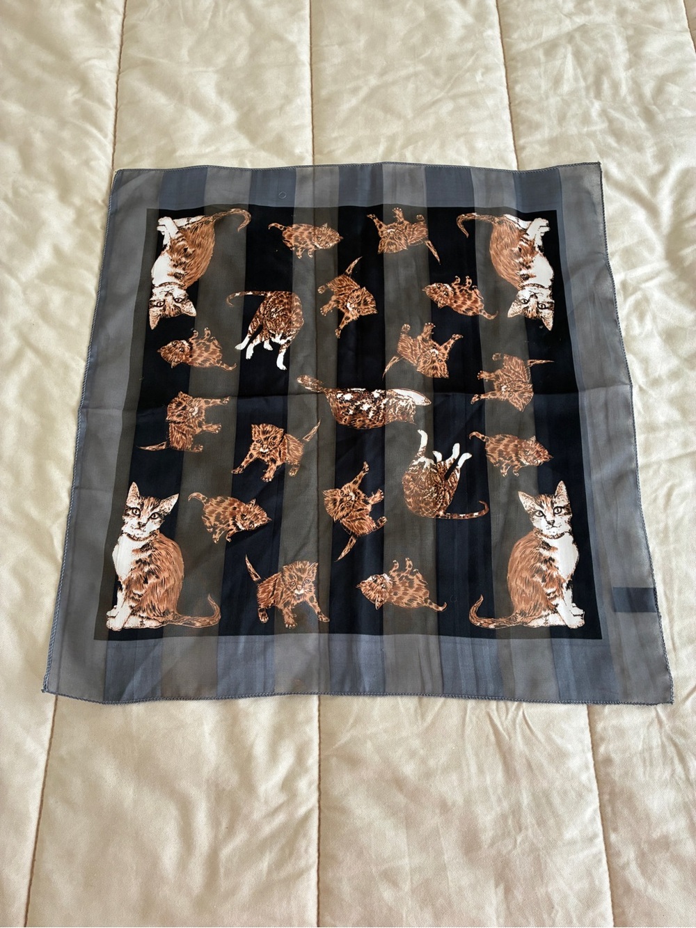 Cat & Kitten Scarf Black Gray Orange 20” Square